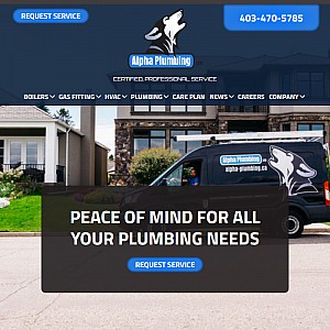 Plumbing Also Offers an Array of Plumbing Services