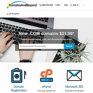 Domains and Beyond
