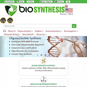 Antibody Structure