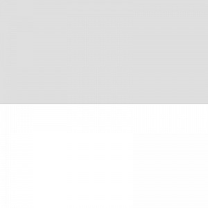 Dog Toy Stocks a Huge Range of Pet Toys