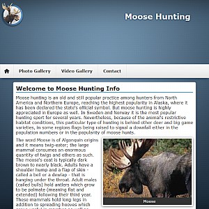 Moose Hunting