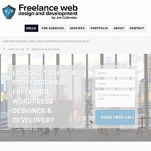 Web Developer Designer
