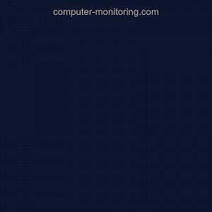 Computer Monitoring Software