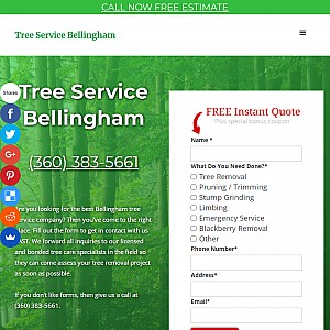 Tree Service is the Choice for the Best Cheap Tree